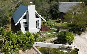 Garden Route Safari Camp